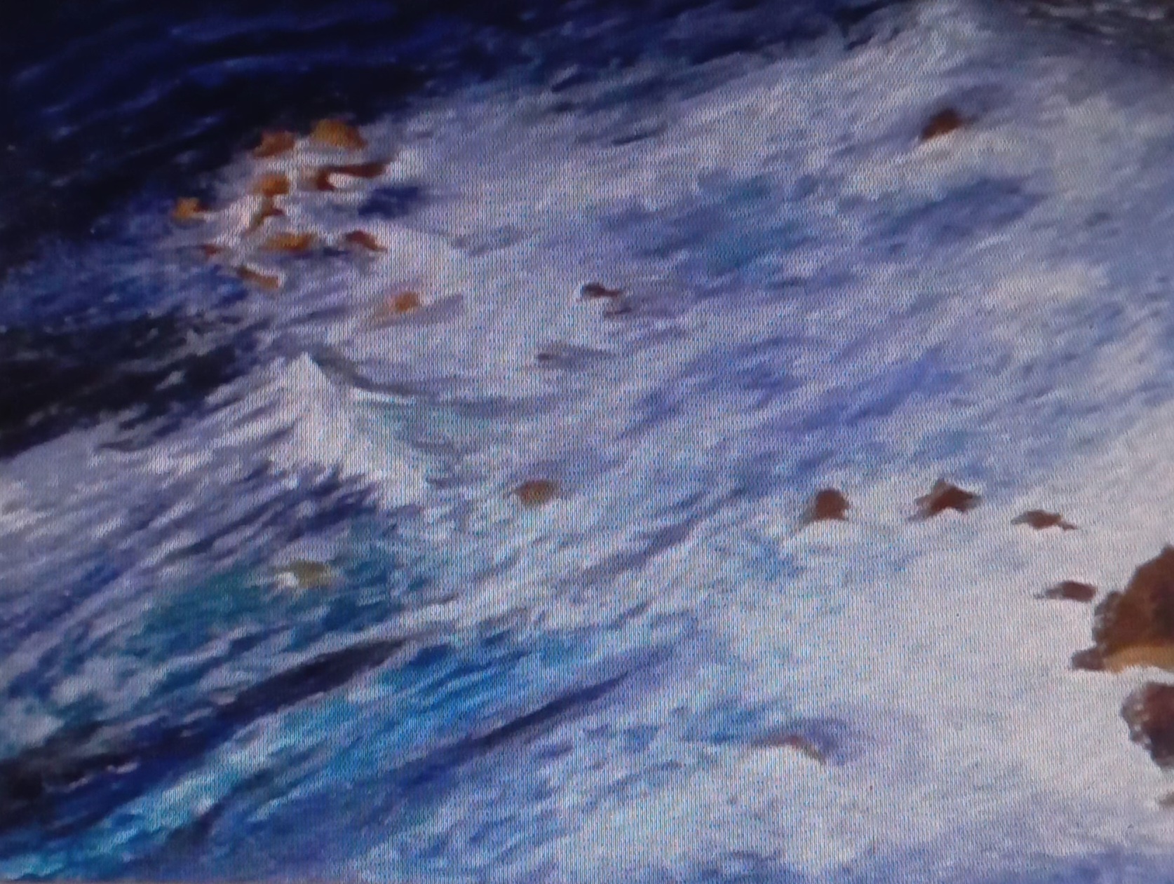 Artwork 5